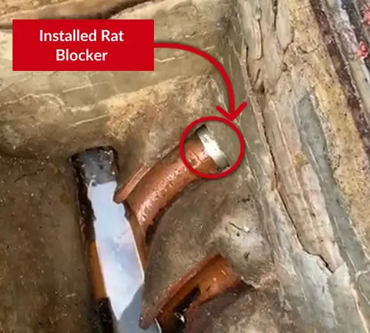 rat blocker for drains
