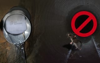 How to Stop Rats in Drains