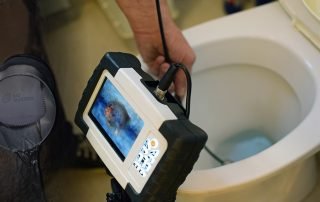 Things To Do Against Rats In Drains And Toilets