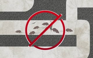 How to Stop Rats in Drains