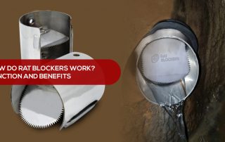 Function and Benefits of Rat blockers