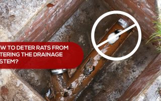 How to deter rats
