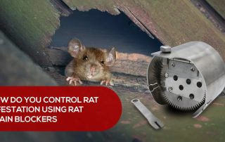 Control rat infestation using rat drain blockers