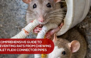 Prevent Rats from Chewing Toilet Flexi Connector Pipes